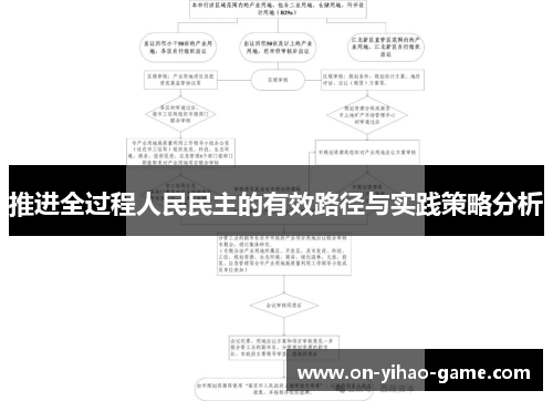 推进全过程人民民主的有效路径与实践策略分析