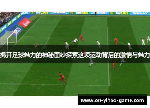 揭开足球魅力的神秘面纱探索这项运动背后的激情与魅力