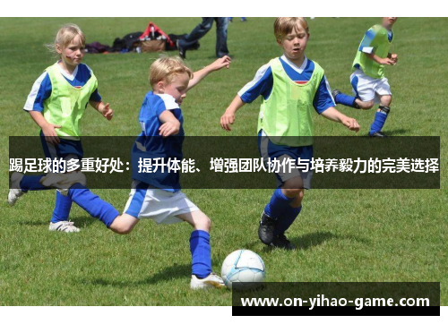 踢足球的多重好处：提升体能、增强团队协作与培养毅力的完美选择
